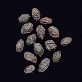 Extracto de Palma Enana Americana (Serenoa)